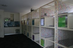 The Mews Boutique Cat Boarding - open by appointment in Australian Capital Territory
