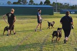 IdaBoss Dog Training Photo