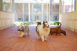 Julies Boarding Kennels and Cattery in Western Australia