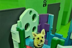 Woof N Wags Doggie Daycare in Logan City