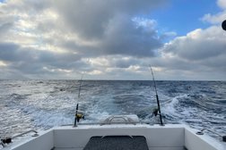 Pro Fishing Charters SA Photo
