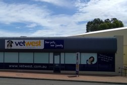 Vetwest Animal Hospitals South Perth Photo