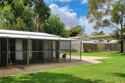 Golden Grove Boarding Kennels & Cattery Photo