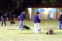 Perth Training and Obedience Dog Club Photo