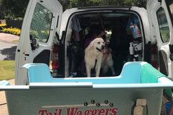 Tailwaggers dog wash in Logan City