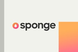 Sponge Photo